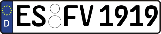 ES-FV1919