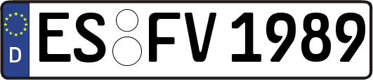 ES-FV1989