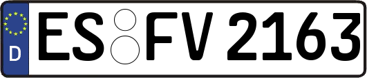 ES-FV2163