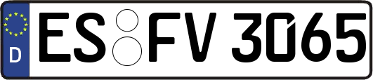ES-FV3065