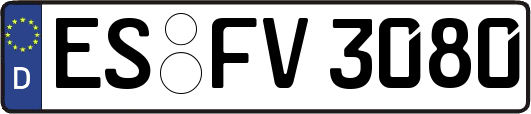 ES-FV3080
