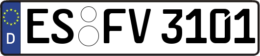ES-FV3101