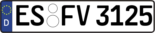 ES-FV3125