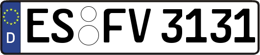 ES-FV3131