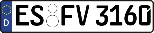 ES-FV3160