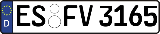 ES-FV3165
