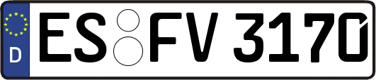 ES-FV3170