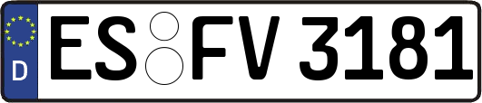 ES-FV3181