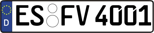 ES-FV4001