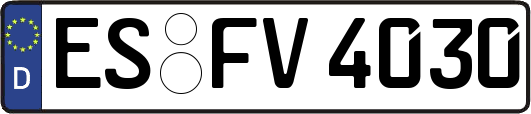 ES-FV4030