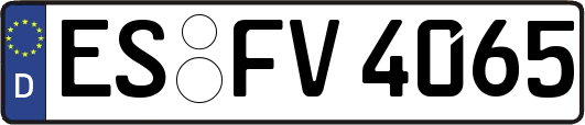 ES-FV4065