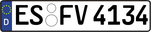 ES-FV4134