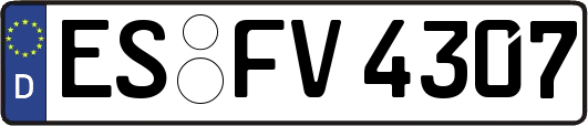 ES-FV4307