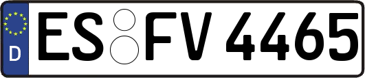 ES-FV4465