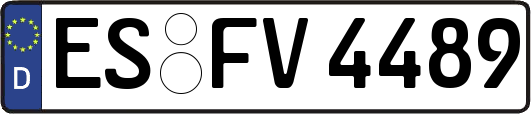 ES-FV4489