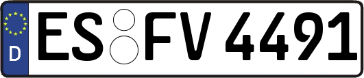 ES-FV4491