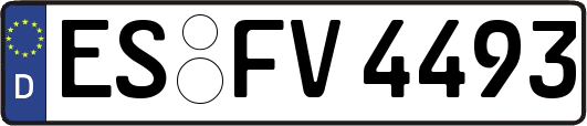 ES-FV4493