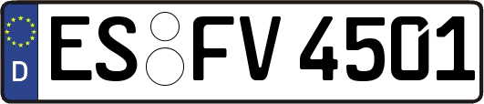 ES-FV4501