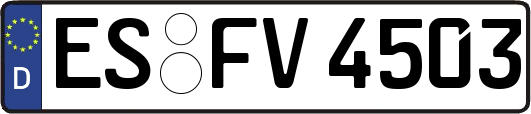 ES-FV4503