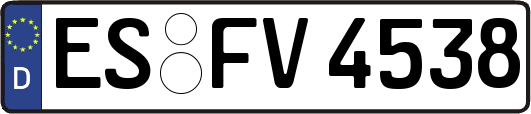 ES-FV4538