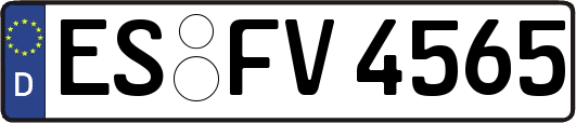 ES-FV4565