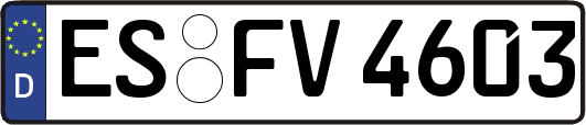 ES-FV4603