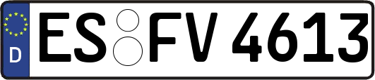 ES-FV4613