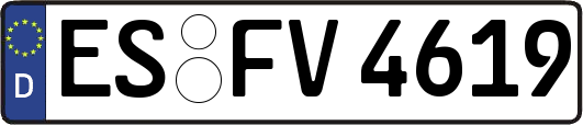 ES-FV4619