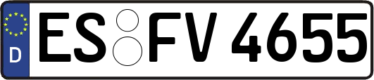 ES-FV4655