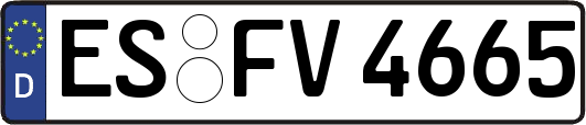 ES-FV4665