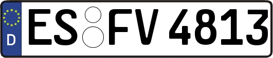 ES-FV4813