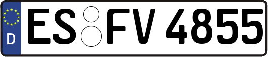 ES-FV4855