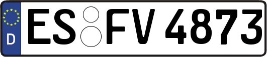 ES-FV4873