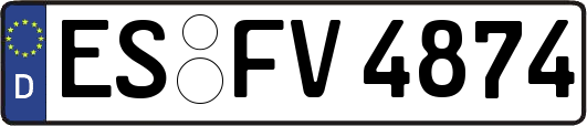 ES-FV4874