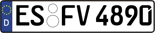 ES-FV4890