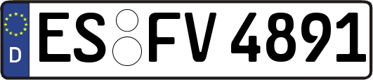ES-FV4891