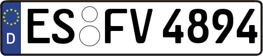 ES-FV4894