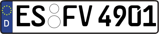 ES-FV4901