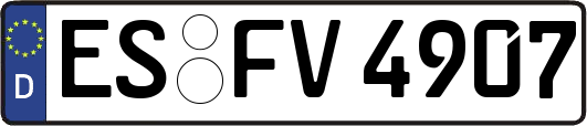 ES-FV4907