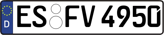 ES-FV4950