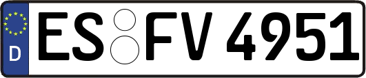 ES-FV4951