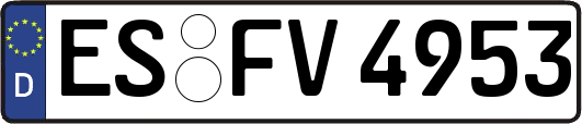 ES-FV4953