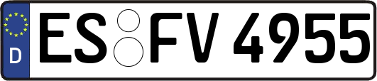 ES-FV4955