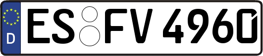 ES-FV4960