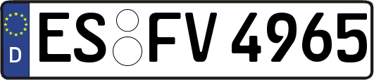ES-FV4965