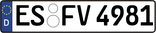ES-FV4981