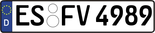 ES-FV4989
