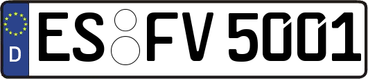 ES-FV5001