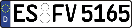 ES-FV5165