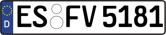 ES-FV5181